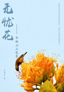 Worry-free Flowers: a Collection of Novels by Xu Dishan