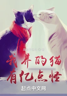 The Cat I Raise Has Hundreds of Millions of Strange Things