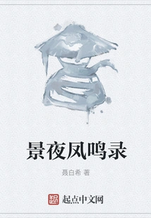 Record of Feng Ming in Jingye Night