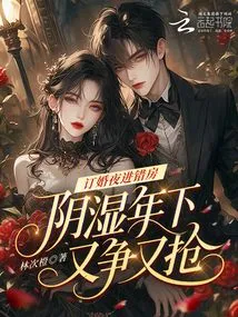 Entering the Wrong Room on the Night of Engagement, Fighting and Fighting over Each Other in a Damp Year