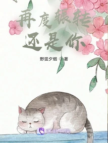 It's Still You after Being Tossed Around Again