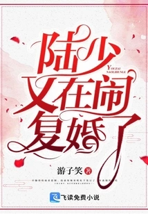 Mr. Lu is Remarrying Again