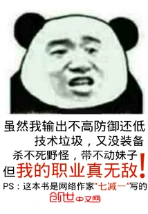 My Profession is Invincible