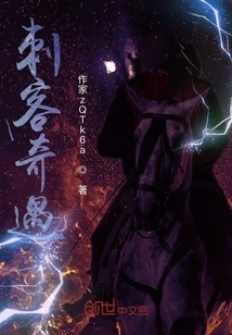 Assassin's Adventure