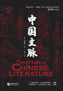 Chinese Context (chinese Global History)