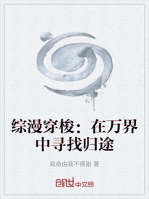 Comprehensive Comic Shuttle: Looking for a Way Home in the World