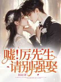 Shh! Mr. Li, Please Don't Marry by Force