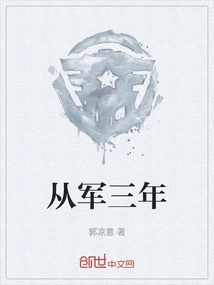 Three Years in the Army