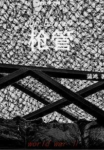 Homeland Defense of the Gun Barrel