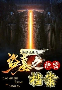 Top Secret Files of Tomb Robbers