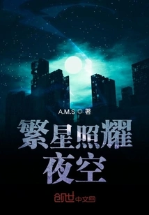 Stars Shine in the Night Sky