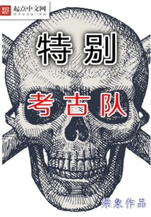 Special Archaeological Team