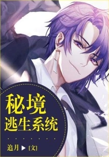 Secret Escape System