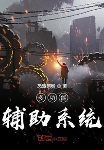 Multifunctional Assistance System