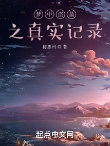 True Record of Tomb Robbing in Dreams