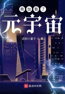 I Loaded the Metaverse