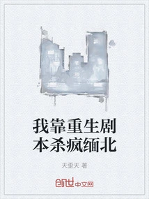 I Relied on the Script of Rebirth to Kill Northern Burma