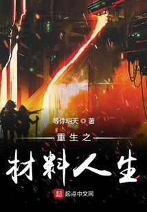 Material Life of Rebirth