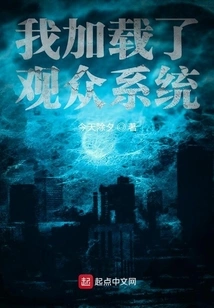 I Loaded the Audience System