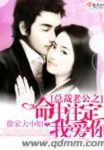 President Husband: I Am Destined to Love You