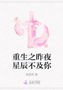 Last Night of Rebirth, the Stars Were Not as Good as You