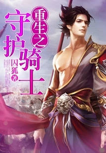 Reborn Guardian Knight