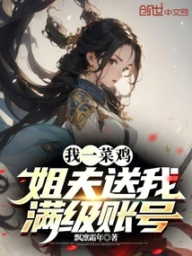 I'm a Noob, but My Brother-in-law Gave Me a Full-level Account