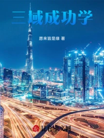 Three Domain Success Study