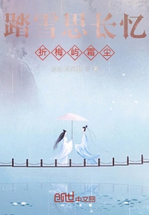 Stepping on the Snow and Thinking About Long Memories, Folding the Frost and Dust on the Plum Island