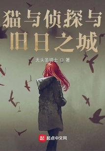 The Cat and the Detective and the Old City