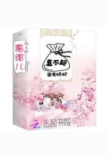 I Can't Afford to Mess with a Concubine at Home