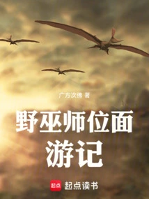 Wild Wizard Plane Travel Notes