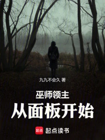 Wizard Lord: Starting from the Panel