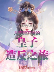 The Journey of the Prince's Rebellion Starting from Confinement