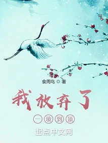 I Gave up and Reached the Top