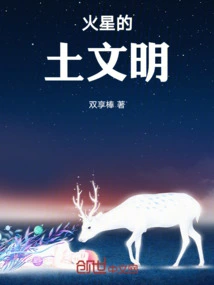 Earth Civilization on Mars