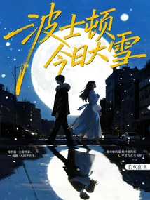 Heavy Snow in Boston Today