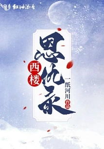 The Record of Enmity and Enmity in the West Tower