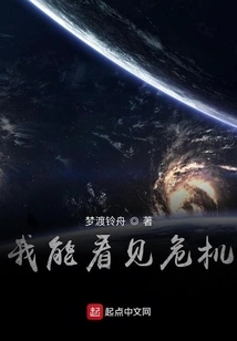 I Can See the Crisis