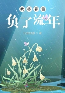 I Lost Mu Xue for a Fleeting Year