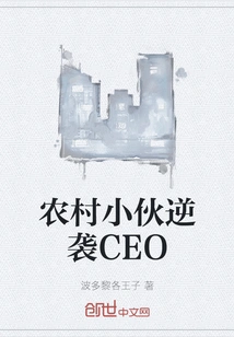 Rural Boy Counterattacks Ceo