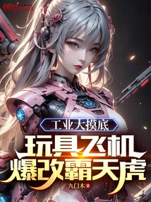 Industrial Survey, Toy Airplane Transformed into Decepticon