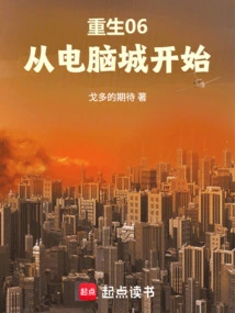 Rebirth 06: Starting from Computer City