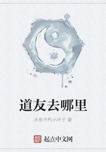 Where Are You Going, Fellow Taoist?