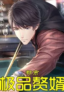 The Best Son-in-law in the City