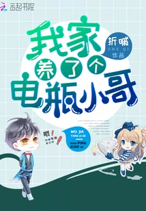 I Have a Battery Boy at Home