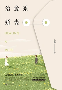 The Healing Wife