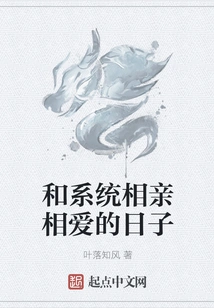 The Days of Falling in Love with the System