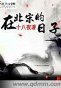 Days in the Northern Song Dynasty