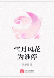 For Whom Does the Snow, Moon, Wind and Flowers Stop?